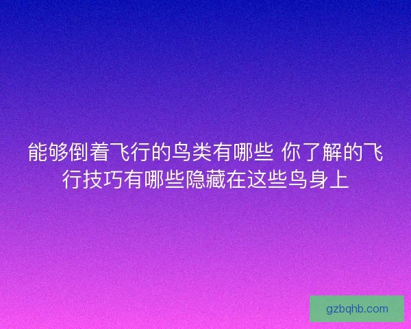 能够倒着飞行的鸟类有哪些 你了解的飞行技巧有哪些隐藏在这些鸟身上 能够倒着飞行的鸟类有哪些 你了解的飞行技巧有哪些隐藏在这些鸟身上